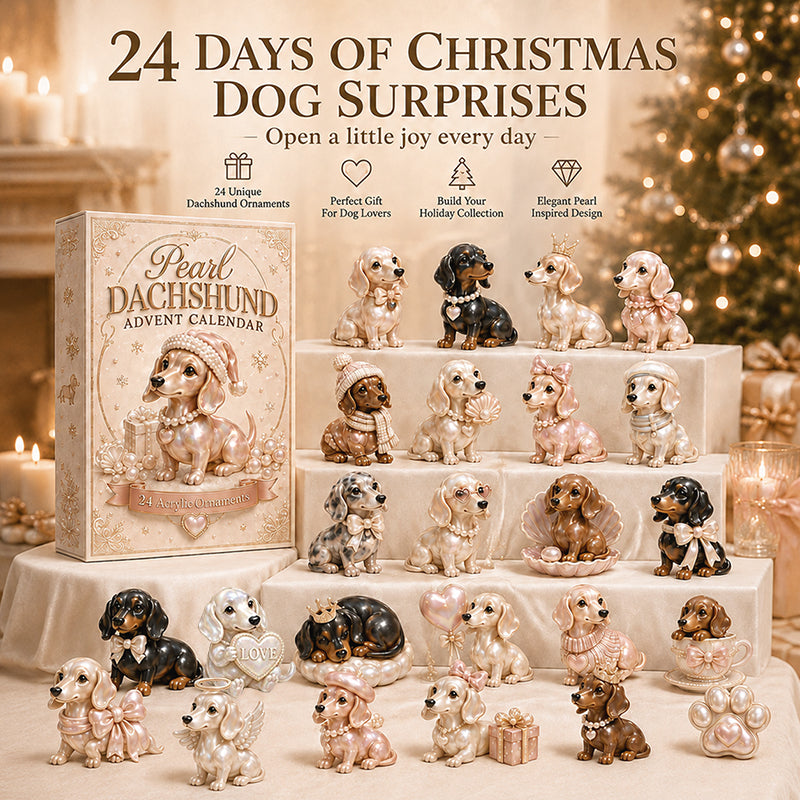 🐶🎄 24 Tiny Dachshunds. One Very Merry Christmas.