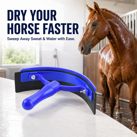 Plastic Horse Water Scrapers, Horse Sweat Brushes, and Stable Cleaning Supplies