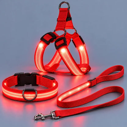 LED Light-Up Dog Harness and Leash Set