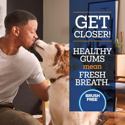 🔥HOT SALE 49% OFF🐶🦷No-Brush Dog Dental Gel