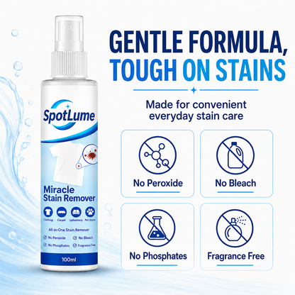 🧼All-in-One Stain Remover Spray ✨ For Clothes, Sofas, Carpets & Pet Messes