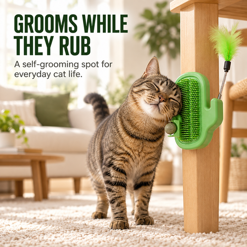 🐾 3-in-1 Cat Self-Grooming Corner Brush with Catnip Ball & Feather Teaser 🌿