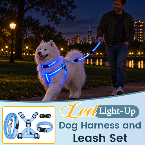LED Light-Up Dog Harness and Leash Set