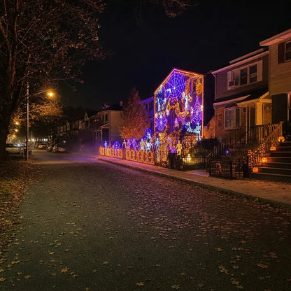 🏡 Architectural Dynamic Mesh Christmas Wall Light – Outdoor Animated Facade Display ✨