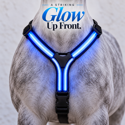 🌈🐎 Ride in Color! LED Horse Light Set – Blue, Green & Pink
