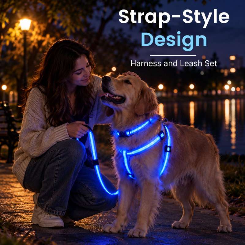 LED Light-Up Dog Harness and Leash Set