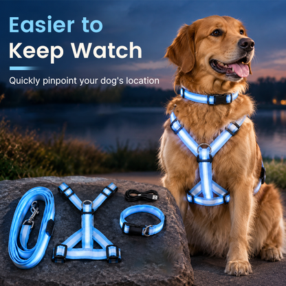 LED Light-Up Dog Harness and Leash Set