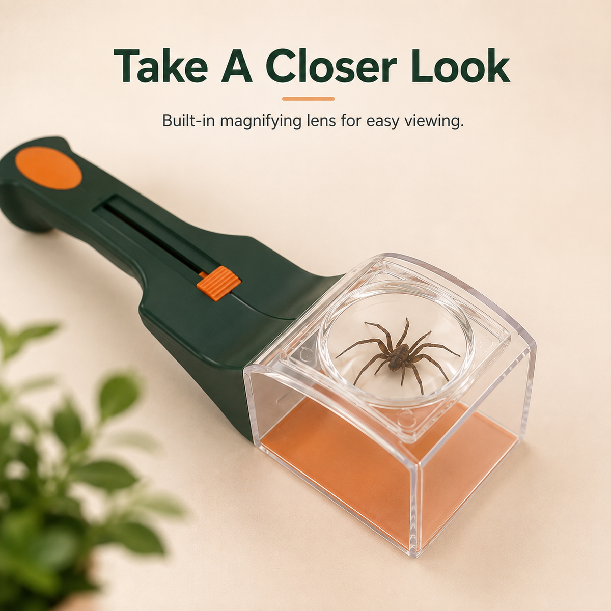 🕷️ Handheld Humane Bug Catcher with Magnifying Lens 🌿