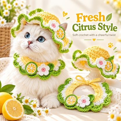 🐾 Handcrafted Crochet Pet Hat & Collar Set – Viral Cute Photo Costume Set ✨