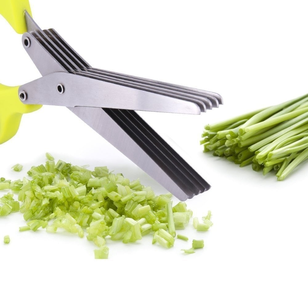 Stainless Steel 5 Blades Scallion Cutter Scissors✂️