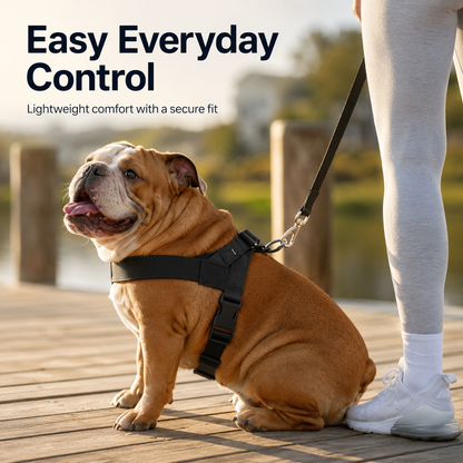 🐶 No-Pull Dog Harness - Easy Fit & Chafe-Resistant ✨