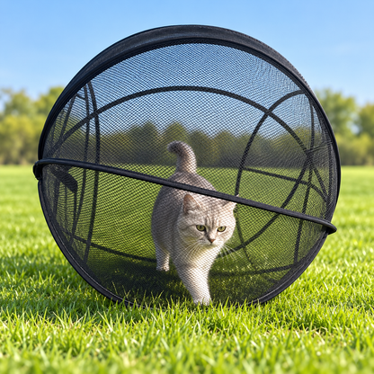 🐱 Pop-Up Cat Playpen 🌿 Fresh Air, Safe Space, Happy Cat