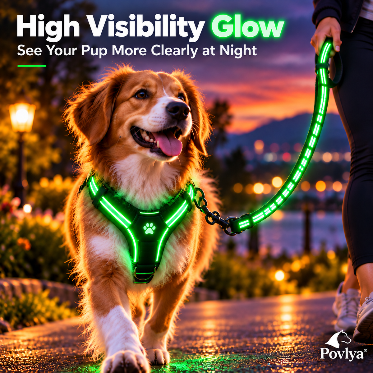 🐾 LED Light-Up Dog Harness & Leash Set 🌙 Keep Your Pup Visible After Dark!