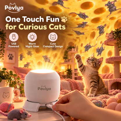 🐱 3D Cat Ceiling Projector ✨ Light Up Your Cat's World