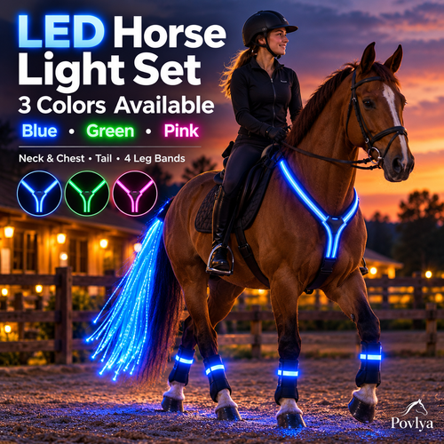 🐎 LED Horse Safety Light Set ✨ Stay Visible on Every Night Ride