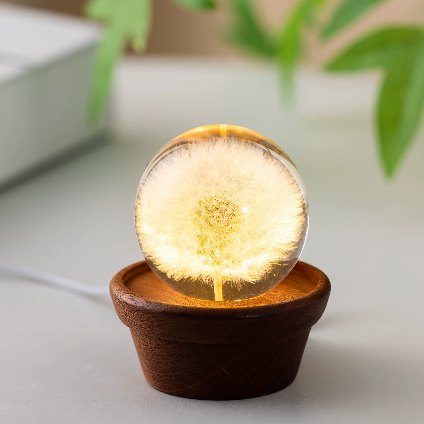 Eternal Flower Resin Lamp 🌸 Handcrafted Floral Night Light, Unique Home Decor & Meaningful Gift
