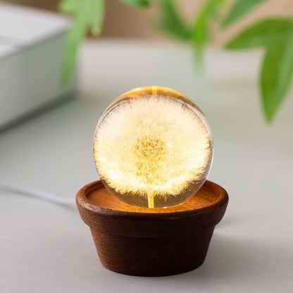 Eternal Flower Resin Lamp 🌸 Handcrafted Floral Night Light, Unique Home Decor & Meaningful Gift
