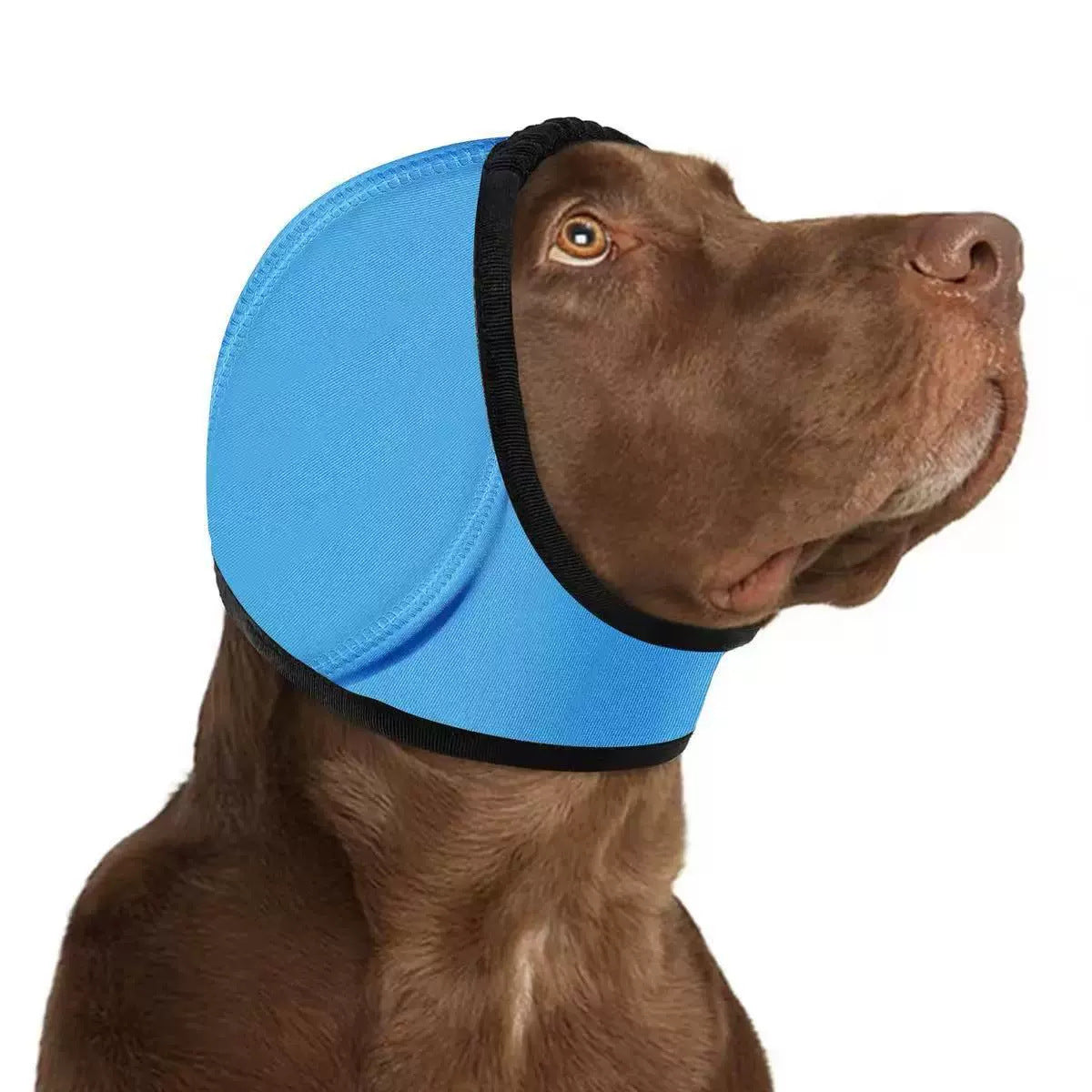 Sound-Dampening Dog Ear Wrap for Fireworks & Storm Anxiety 🐶