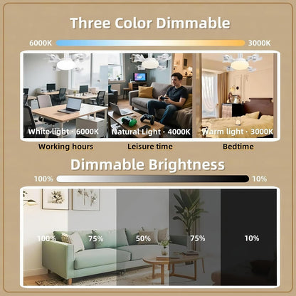 💥 55% OFF | Last Day ⏰ 🌬️ 2-in-1 Silent Ceiling Fan Light – Remote Control LED Fan with Foldable Blades & Timer 💡