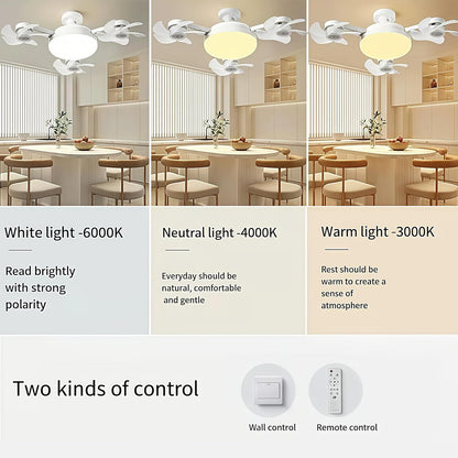 💥 55% OFF | Last Day ⏰ 🌬️ 2-in-1 Silent Ceiling Fan Light – Remote Control LED Fan with Foldable Blades & Timer 💡