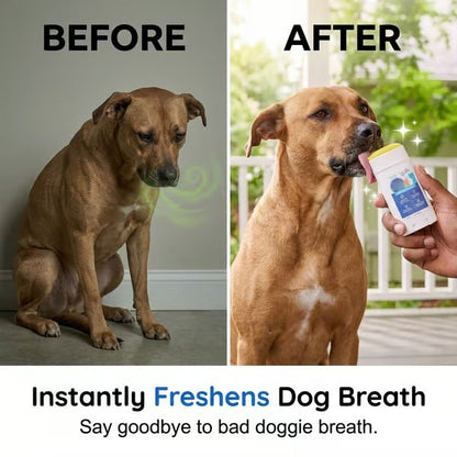 🔥HOT SALE 49% OFF🐶🦷No-Brush Dog Dental Gel