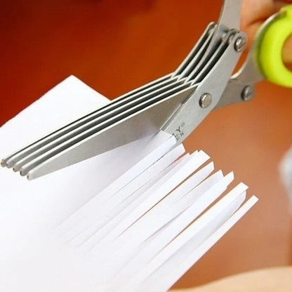Stainless Steel 5 Blades Scallion Cutter Scissors✂️