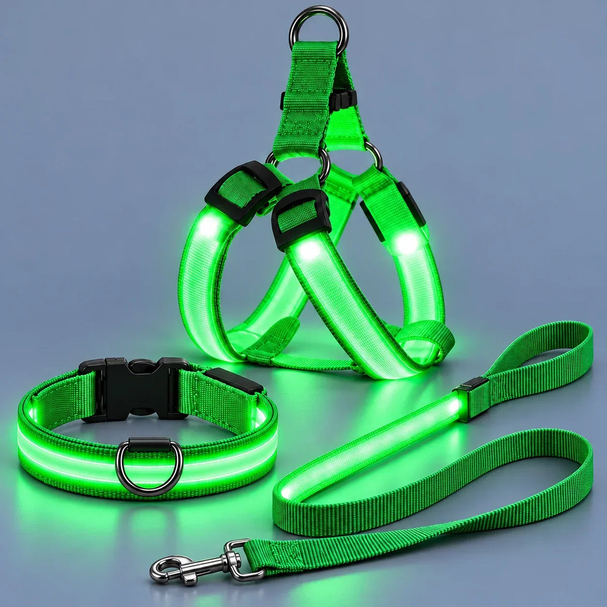 LED Light-Up Dog Harness and Leash Set