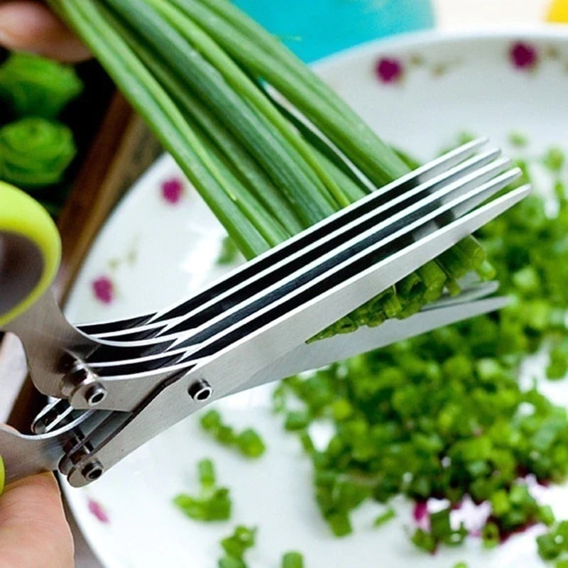 Stainless Steel 5 Blades Scallion Cutter Scissors✂️