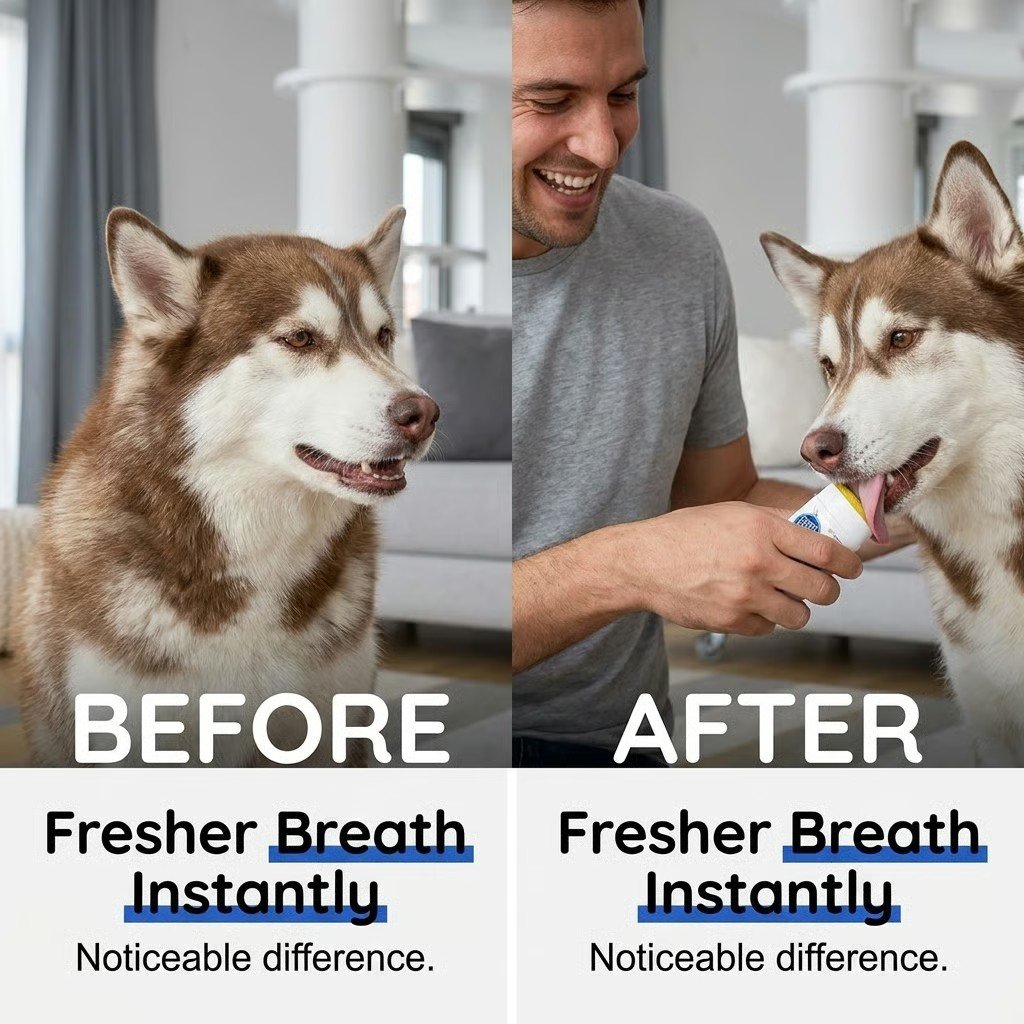 🔥HOT SALE 49% OFF🐶🦷No-Brush Dog Dental Gel