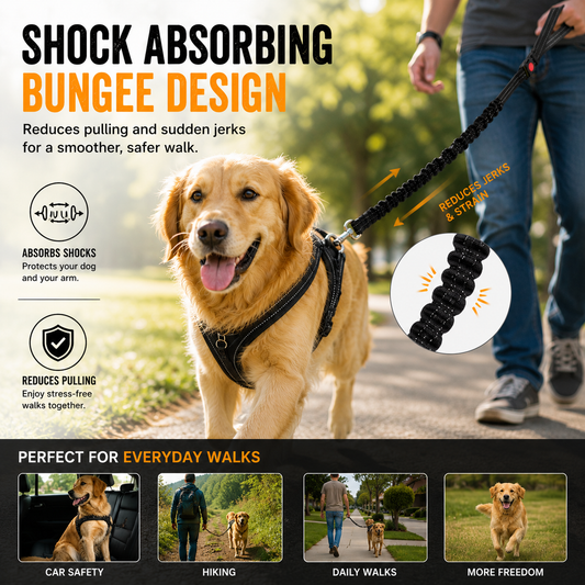 Dog Seat Belt, Upgraded 2-in-1 Pet Dog Car Seat Belt and Headrest Mounting System