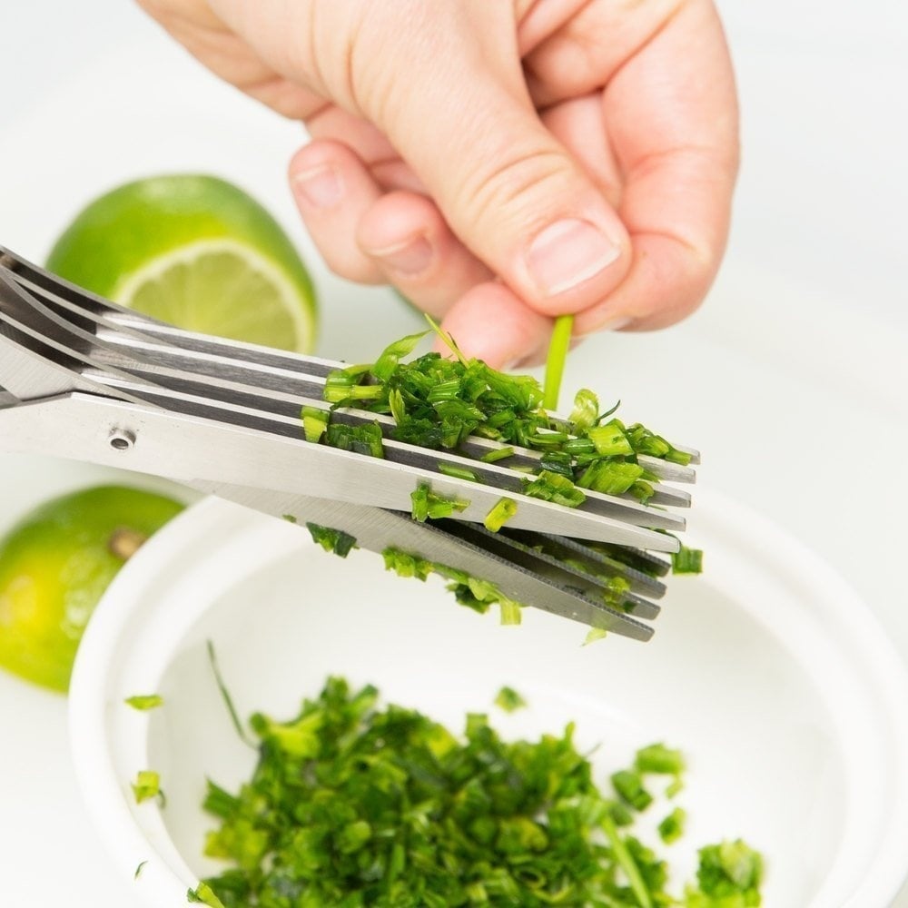Stainless Steel 5 Blades Scallion Cutter Scissors✂️