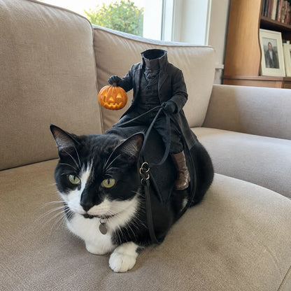 🎃 Early Halloween Sale — 50% Off | 🐈‍⬛ Headless Horseman Cat Costume – Funny Halloween Rider Outfit