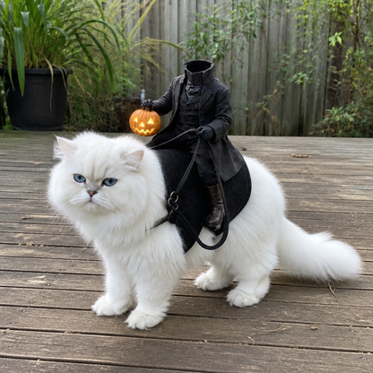 🎃 Early Halloween Sale — 50% Off | 🐈‍⬛ Headless Horseman Cat Costume – Funny Halloween Rider Outfit