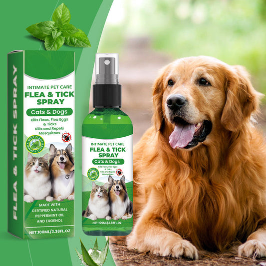 🍃Natural Flea & Tick Foam for Dogs and Cats🐾 Keep Your Beloved Pet Free from Pests