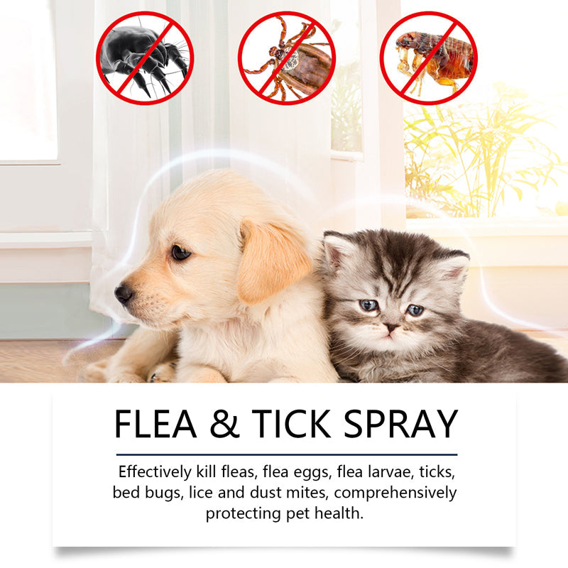 🍃Natural Flea & Tick Foam for Dogs and Cats🐾 Keep Your Beloved Pet Free from Pests