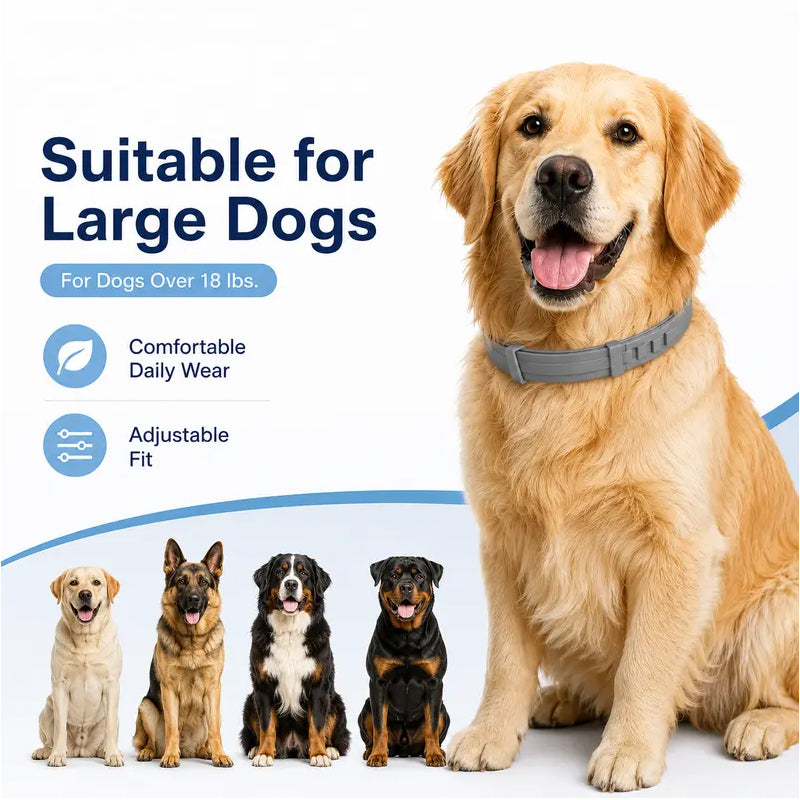 🐶50% OFF TODAY🛡️Adjustable Flea & Tick Collar for Dogs & Cats