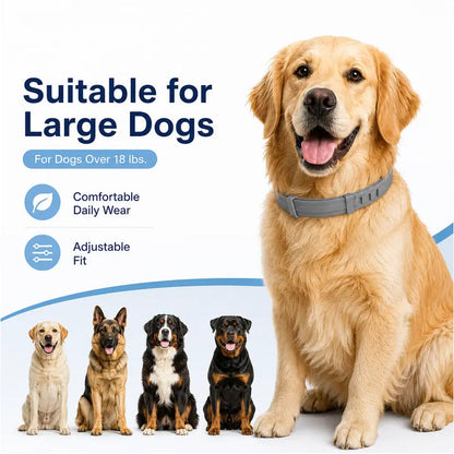 🐶50% OFF TODAY🛡️Adjustable Flea & Tick Collar for Dogs & Cats