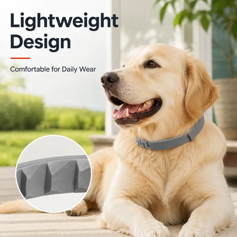 🐶50% OFF TODAY🛡️Adjustable Flea & Tick Collar for Dogs & Cats