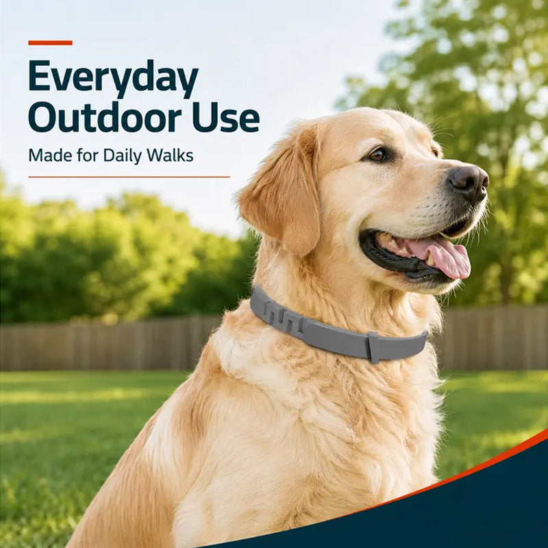 🐶50% OFF TODAY🛡️Adjustable Flea & Tick Collar for Dogs & Cats