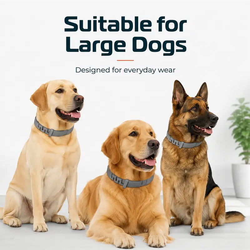🐶50% OFF TODAY🛡️Adjustable Flea & Tick Collar for Dogs & Cats
