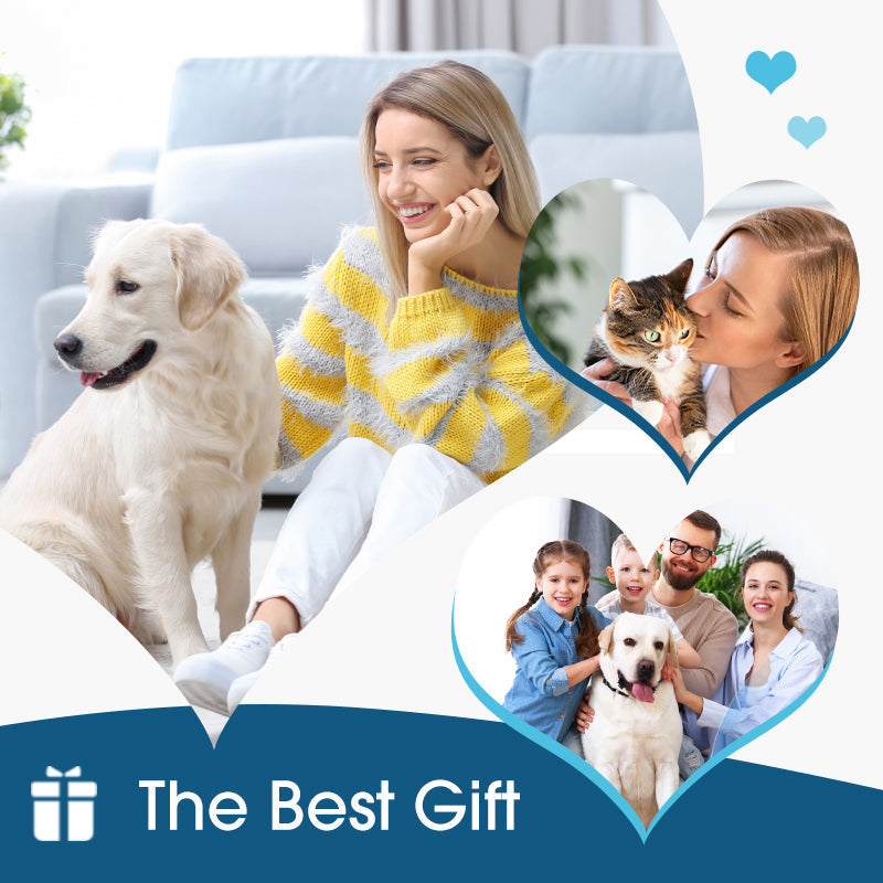 🔥🎁New! 50% OFF🔥Ear Cleaner for Dogs and Cats to Relieve Itching