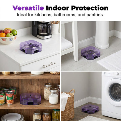 🪳 Reusable High-Efficiency Roach Trap Eco-Friendly Multi-Entry Physical Capture Box 🛡️