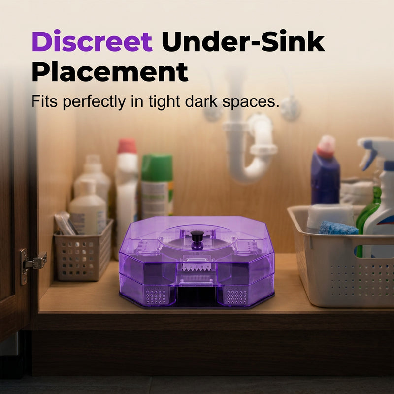 🪳 Reusable High-Efficiency Roach Trap Eco-Friendly Multi-Entry Physical Capture Box 🛡️
