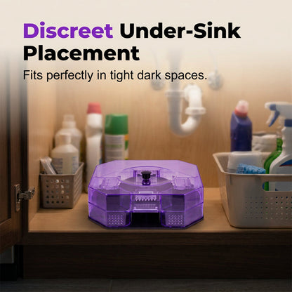 🪳 Reusable High-Efficiency Roach Trap Eco-Friendly Multi-Entry Physical Capture Box 🛡️