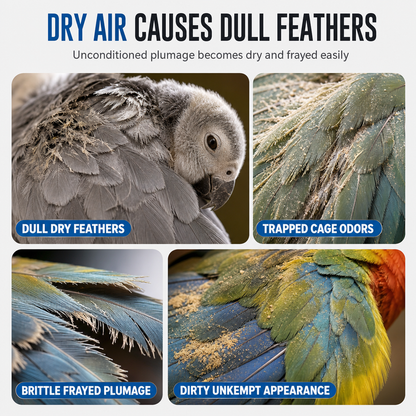 🦜 Bird Feather Care Spray – Plumage Freshening Mist, 100ml ✨