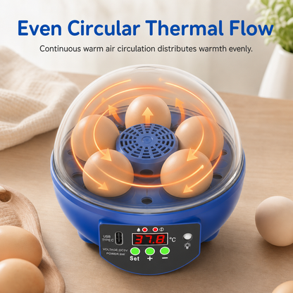 🐣 USB Automatic Mini Egg Incubator - Digital Temperature Control Poultry Hatching Box 🐥